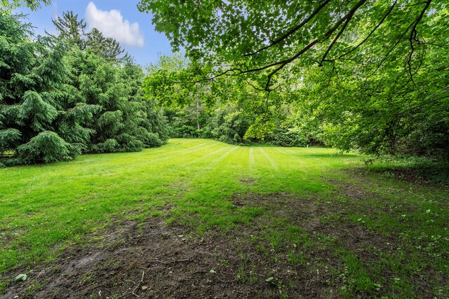 2486 Whitmore Lake Rd, Ann Arbor, MI 48105 - view of grassy yard