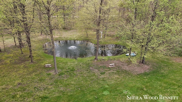 903 10 Mile Rd NW, Sparta, MI 49345 - water view featuring a forest