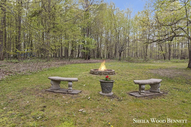 903 10 Mile Rd NW, Sparta, MI 49345 - view of green lawn featuring an outdoor fire pit and a view of trees