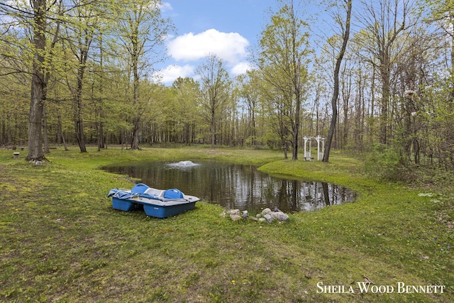 903 10 Mile Rd NW, Sparta, MI 49345 - water view featuring a forest