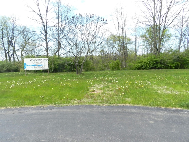 519 Swan River Dr, Benton Harbor, MI 49022 - photo 2