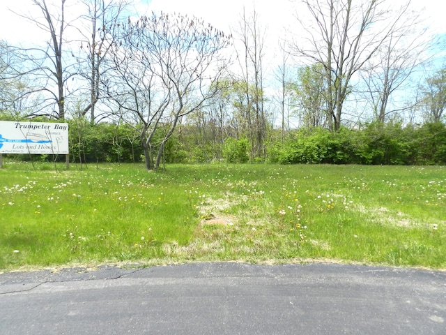 519 Swan River Dr, Benton Harbor, MI 49022 - photo 4