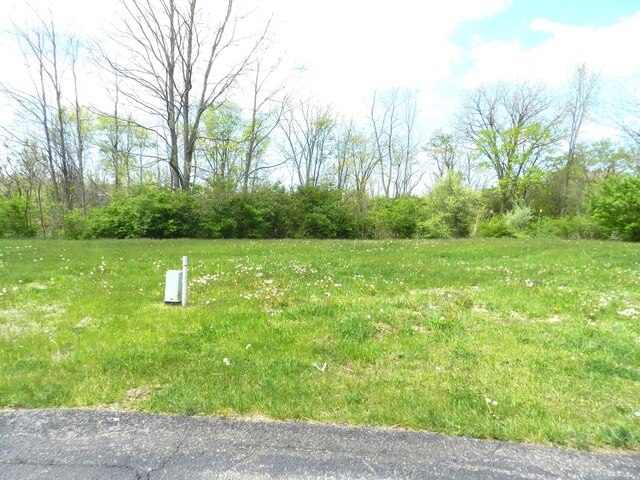 519 Swan River Dr, Benton Harbor, MI 49022 - photo 6