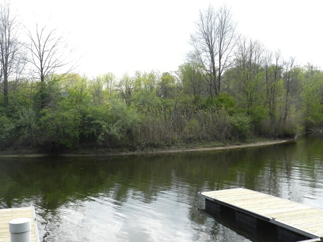 519 Swan River Dr, Benton Harbor, MI 49022 - photo 11