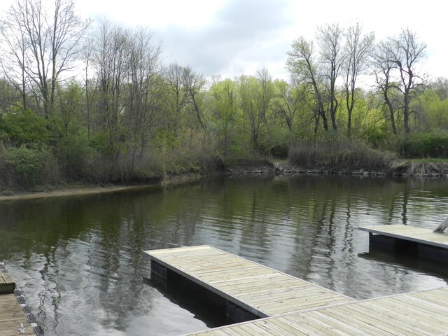 519 Swan River Dr, Benton Harbor, MI 49022 - photo 14