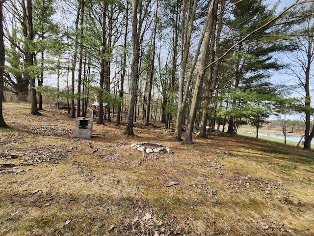 4831 E Sippy Rd Unit 132 133, Custer, MI 49405
