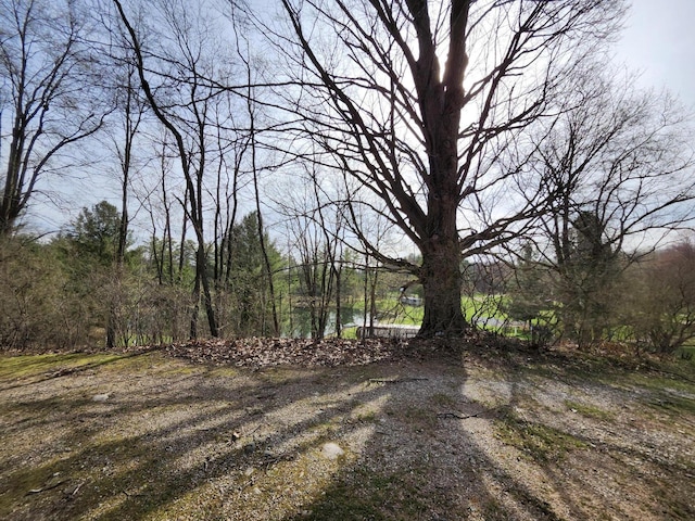 4831 E Sippy Rd Unit 132 133, Custer, MI 49405