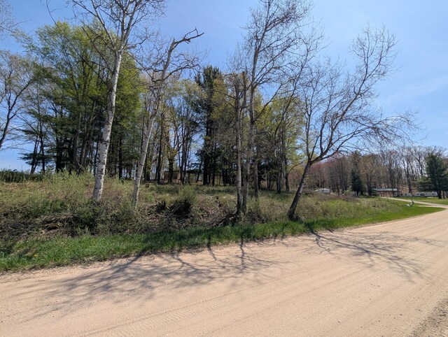 4831 E Sippy Rd Unit 132 133, Custer, MI 49405