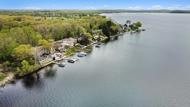 2175 Wamplers Heights Dr, Brooklyn, MI 49230 - photo 41