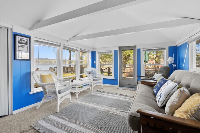 10982 Beech Is, Plainwell, MI 49080 - sunroom with carpet floors and baseboards