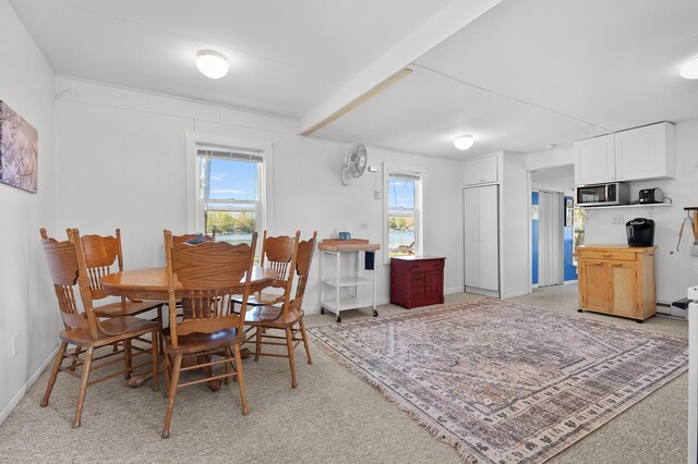 10982 Beech Is, Plainwell, MI 49080 - dining area with light carpet, baseboards, and a baseboard heating unit
