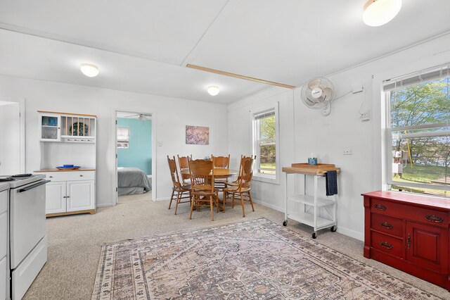 10982 Beech Is, Plainwell, MI 49080 - dining room featuring healthy amount of natural light, light carpet, and baseboards