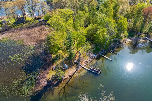 10982 Beech Is, Plainwell, MI 49080 - bird's eye view of a large body of water