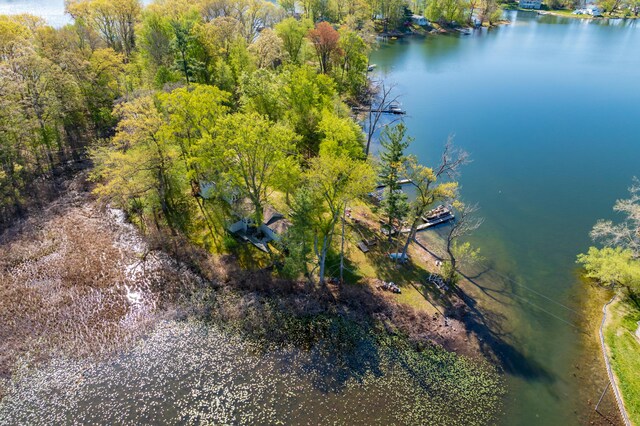 10982 Beech Is, Plainwell, MI 49080 - bird's eye view of a large body of water