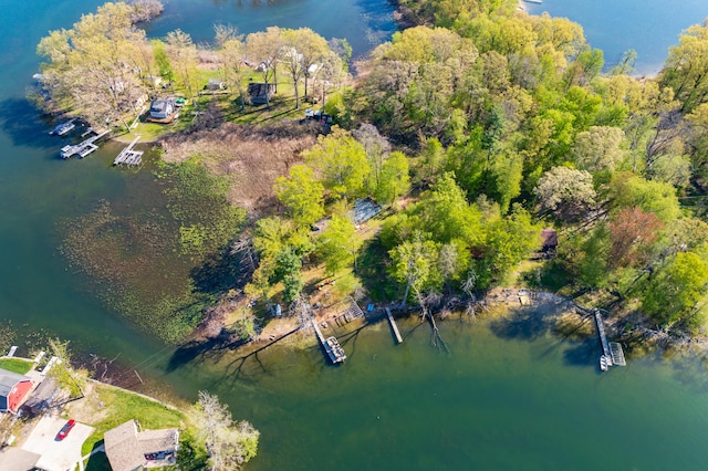10982 Beech Is, Plainwell, MI 49080 - drone / aerial view of a large body of water