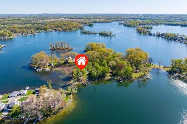 10982 Beech Is, Plainwell, MI 49080 - aerial overview of property's location with a nearby body of water and a heavily wooded area