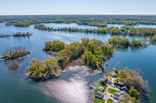 10982 Beech Is, Plainwell, MI 49080 - aerial view of a large body of water and a heavily wooded area