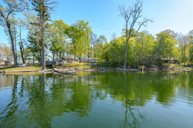 10982 Beech Is, Plainwell, MI 49080 - water view