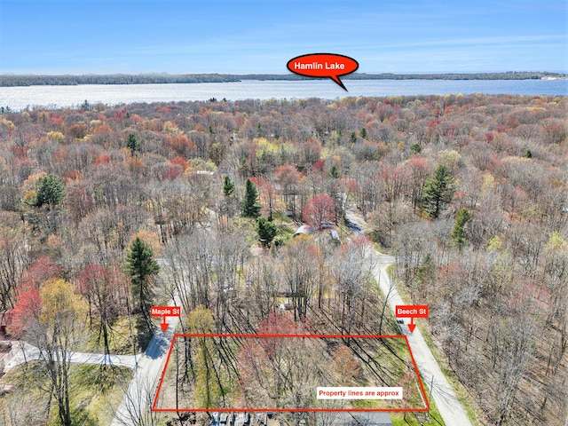 6701 W Beech St, Ludington, MI 49431