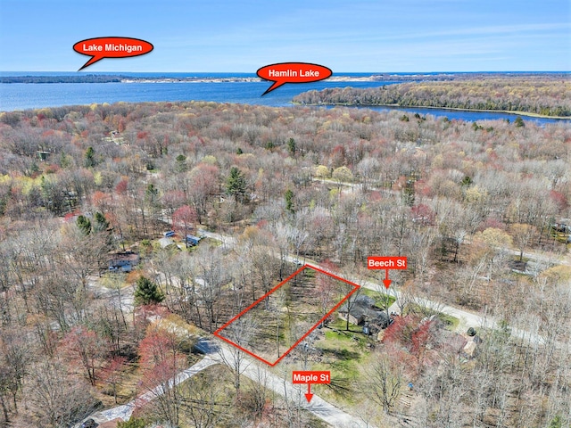 6701 W Beech St, Ludington, MI 49431