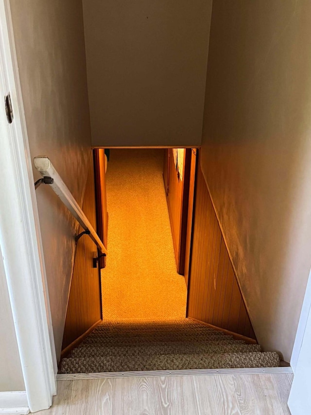 staircase featuring carpet floors