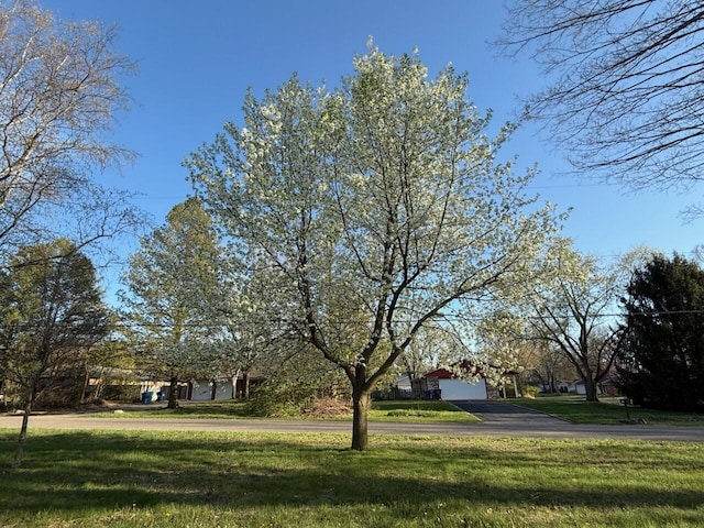 view of green lawn with asphalt driveway