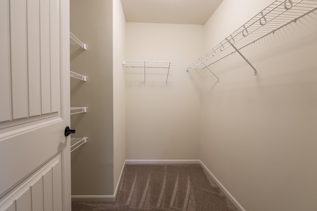 2767 St Regis Way, Ann Arbor, MI 48105 - walk in closet with carpet floors