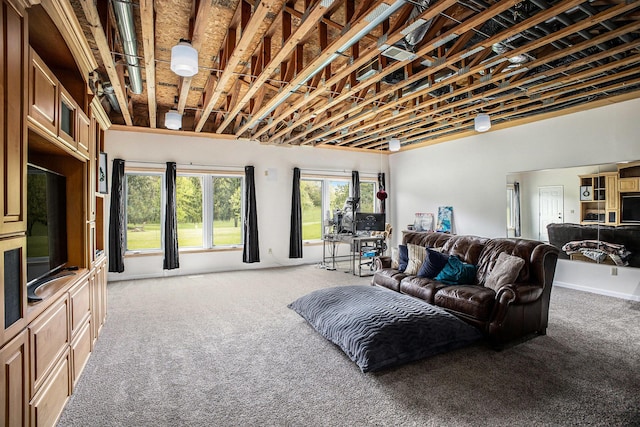 living area featuring carpet flooring