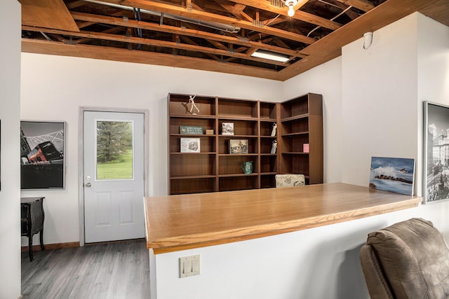 office featuring wood finished floors