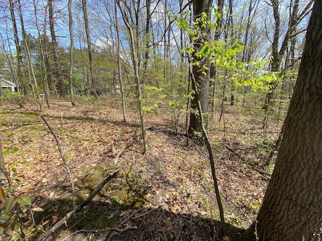 12998 Bowen Lake Dr, Gowen, MI 49326