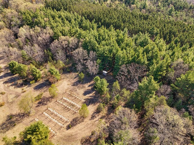 23748 Cutler Rd, Newaygo, MI 49337 - drone / aerial view of a forest