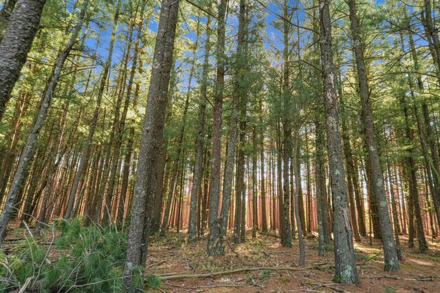 23748 Cutler Rd, Newaygo, MI 49337 - view of tree filled area