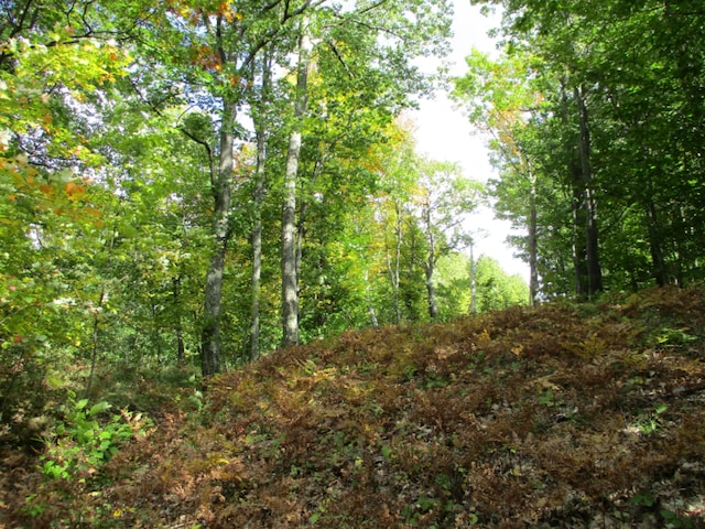 0 M22 Northwood Hwy, Onekama, MI 49675