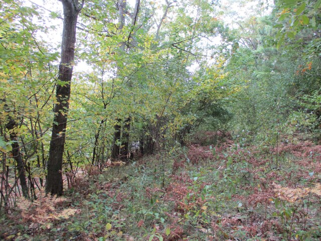 0 M22 Northwood Hwy, Onekama, MI 49675