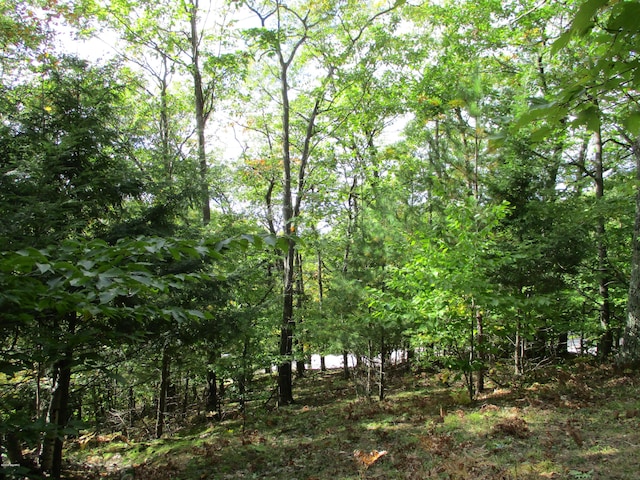 0 M22 Northwood Hwy, Onekama, MI 49675