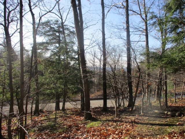 0 M22 Northwood Hwy, Onekama, MI 49675