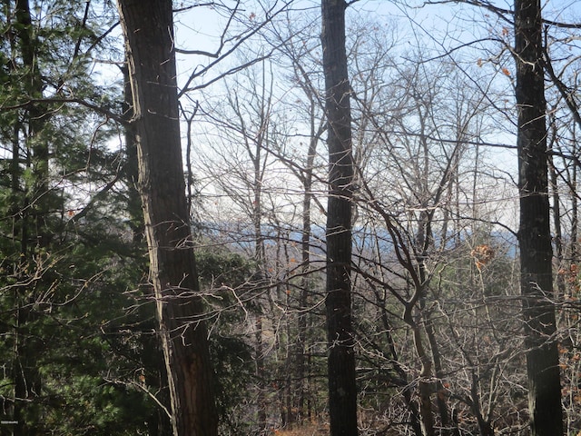 0 M22 Northwood Hwy, Onekama, MI 49675