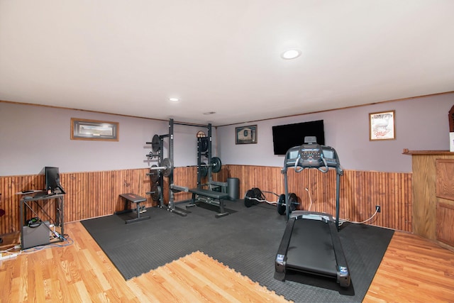 23127 Kendaville Rd, Pierson, MI 49339 - exercise room with a wainscoted wall, wood finished floors, and wooden walls