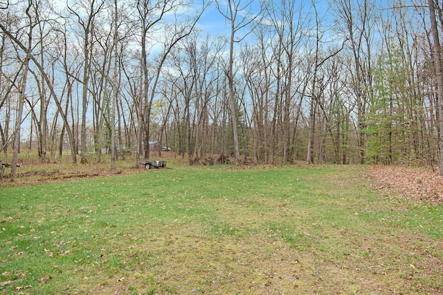 23127 Kendaville Rd, Pierson, MI 49339 - view of green lawn with a view of trees