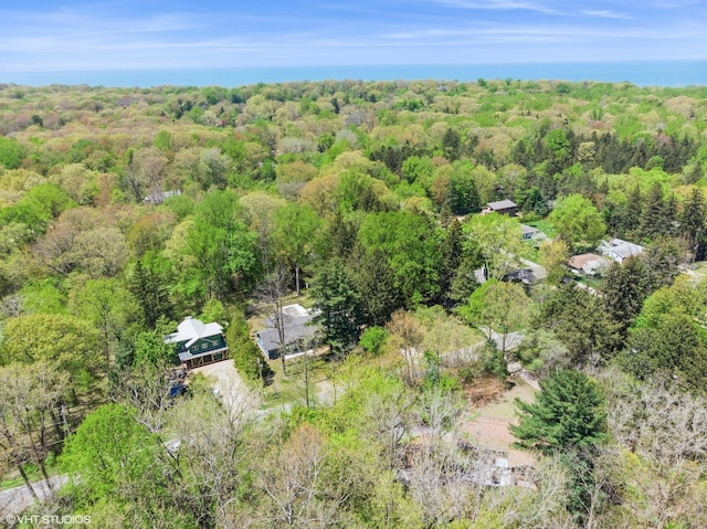 6490 E Chikaming, Sawyer, MI 49125 - aerial view of a forest