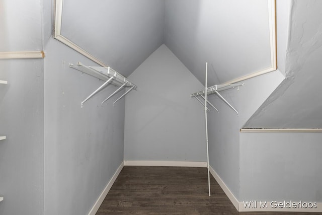 spacious closet featuring wood finished floors