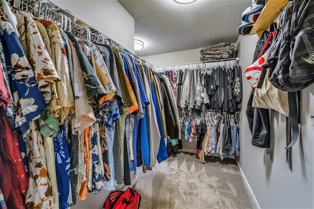 5790 Paxton Ct, Portage, MI 49024 - walk in closet featuring carpet flooring