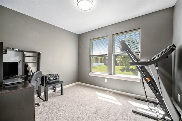 5790 Paxton Ct, Portage, MI 49024 - office area featuring healthy amount of natural light, carpet, and baseboards