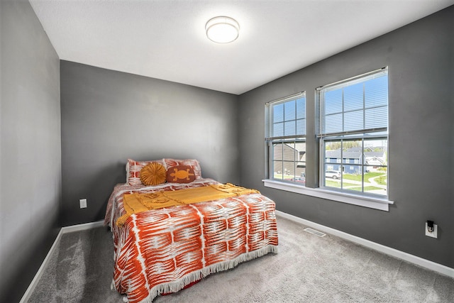 5790 Paxton Ct, Portage, MI 49024 - bedroom with baseboards and carpet floors