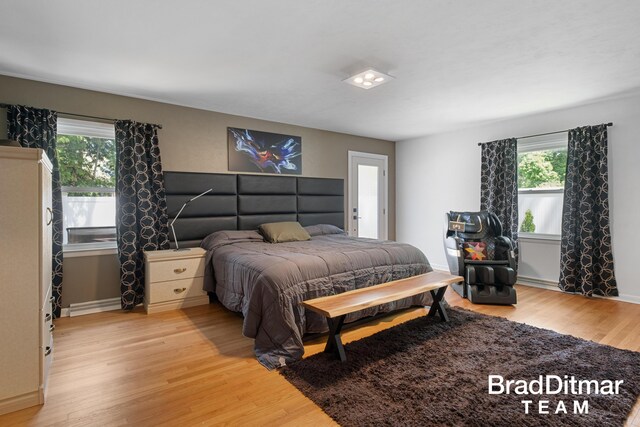 2151 Anderson Dr SE, Grand Rapids, MI 49506 - bedroom featuring multiple windows, light wood-style flooring, and baseboards