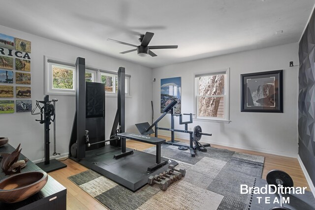 2151 Anderson Dr SE, Grand Rapids, MI 49506 - workout area featuring plenty of natural light, a ceiling fan, light wood-type flooring, and baseboards