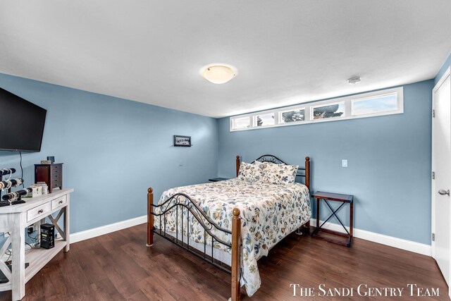 17083 Spahr St, Spring Lake, MI 49456 - bedroom with wood finished floors, multiple windows, and baseboards