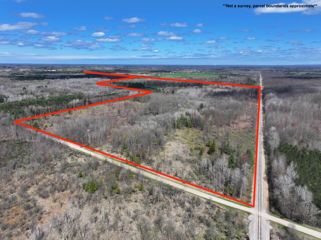V/L118A E Townline Rd, Free Soil, MI 49411