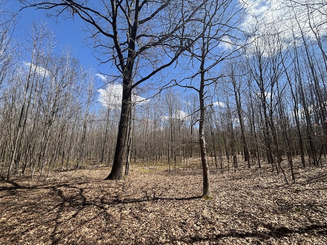 V/L118A E Townline Rd, Free Soil, MI 49411