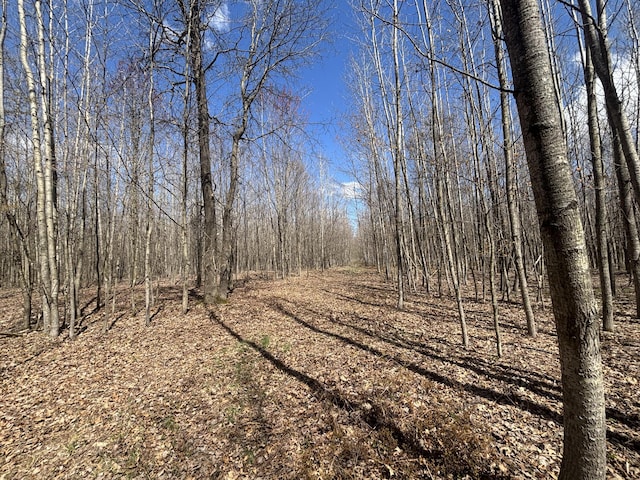 V/L118A E Townline Rd, Free Soil, MI 49411